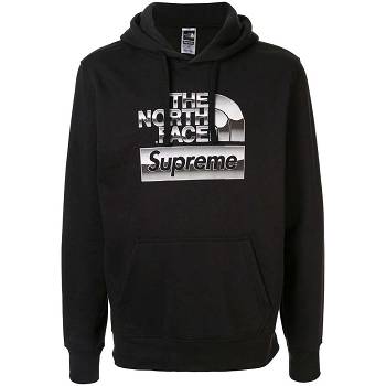 Sudaderas Supreme X The North Face lic Logo Encapuchado Metal | CO337DN